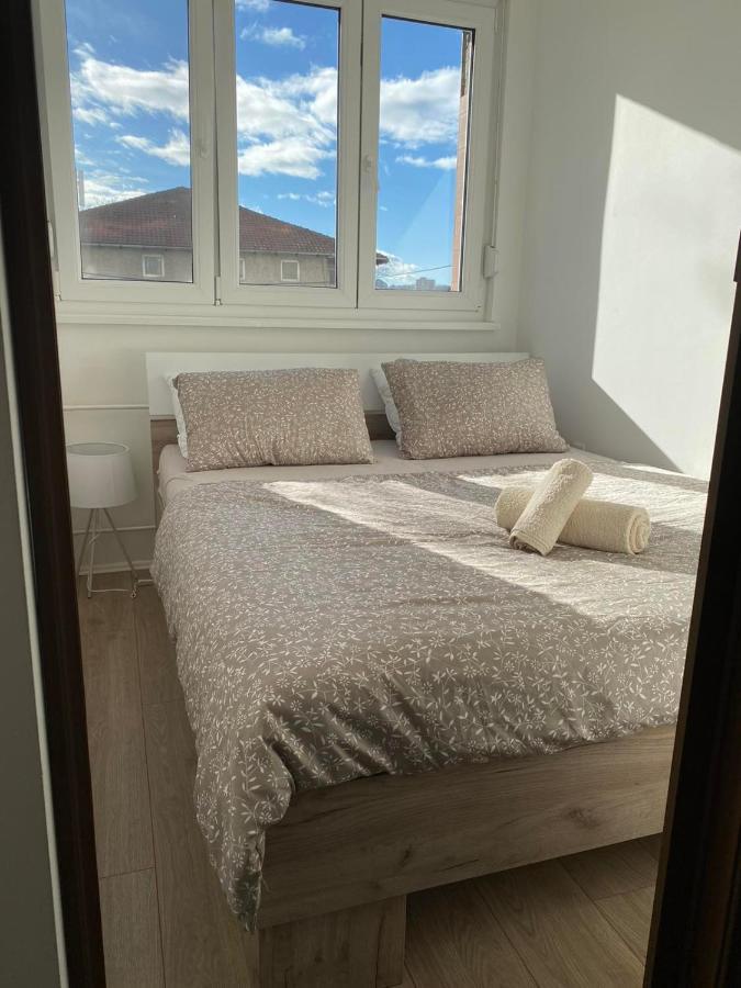 Cosy Apart Aca Belgrad Exteriör bild
